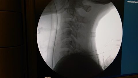 i286823014291566178.szw480h1280 (1).jpg