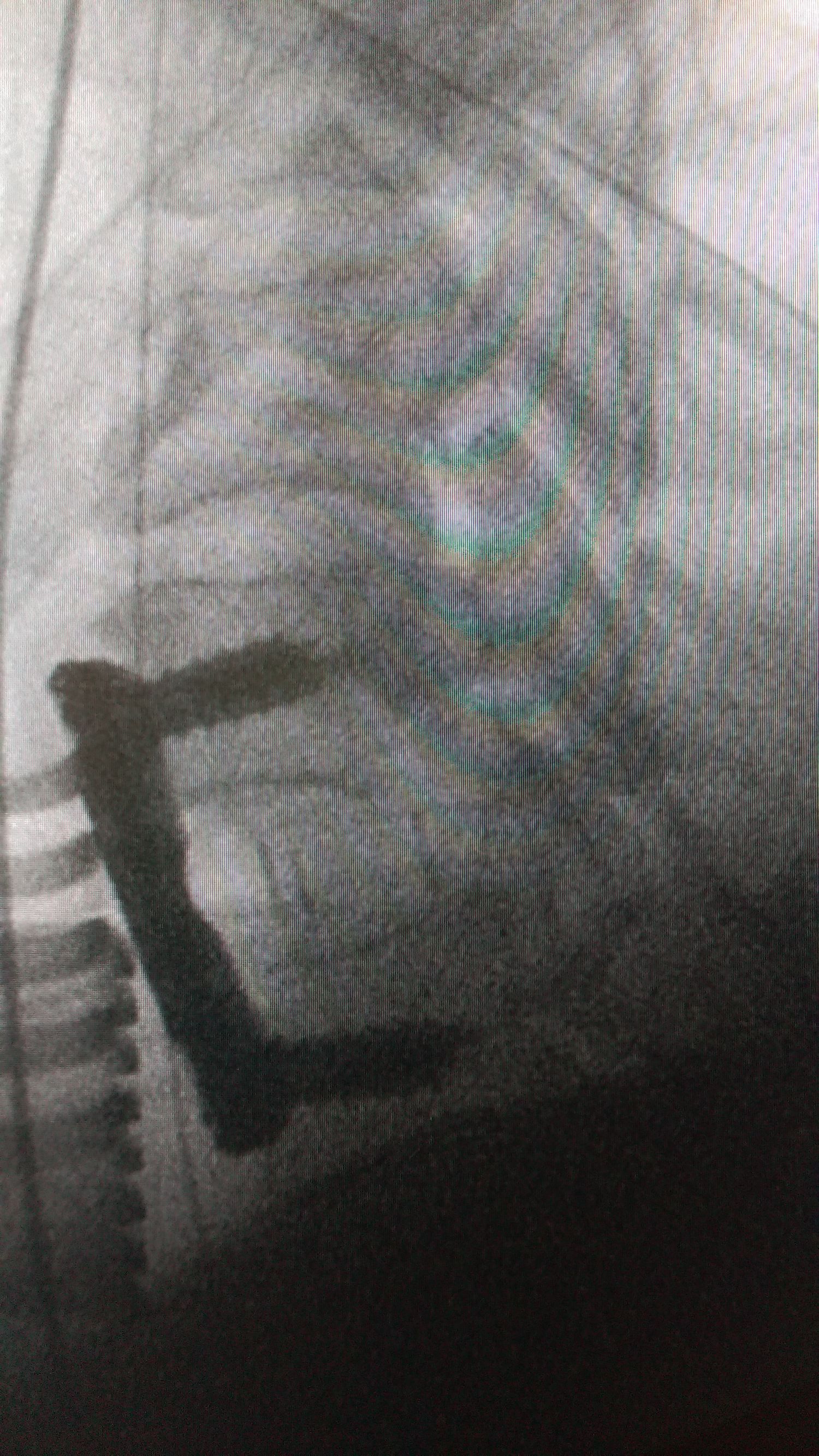 i286823014291566485._rsw480h360 (1).jpg